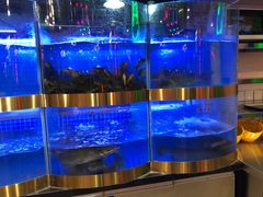 水产区-蛙一刀·麻椒鱼火锅(金仙桥店)