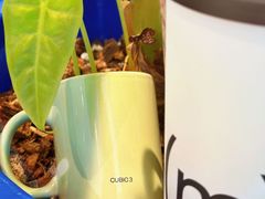 -CUBIC3三立方咖啡(凌空SOHO店)