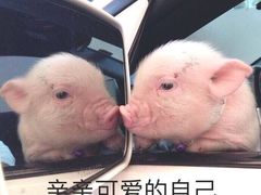 -潮汕良记牛肉火锅(洪武路店)
