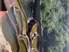 -灵溪风景区
