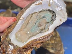 蒸汽生蚝-辉记炭烧海鲜大排档·老字号(福田店)