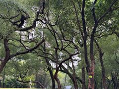 -晓港公园