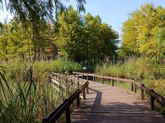 -梁鸿国家湿地公园