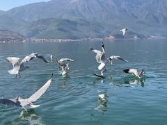 -丽江泸沽湖景区