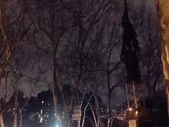 -徐家汇源景区-衡山公园