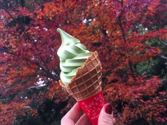 -豆政(金閣寺境内売店)