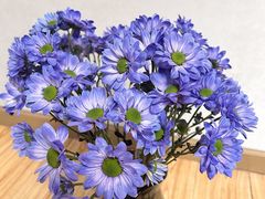 -循礼门鲜花花市(武汉循礼门店)