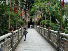 -西双版纳原始森林公园