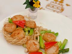 白玉露笋炒元贝-火璽·園