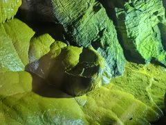 -地心探险极地
