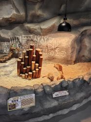 -Zoolung Zoolung动物主题公园(海信广场店)