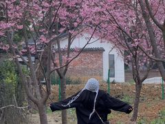 -三圣花乡旅游区