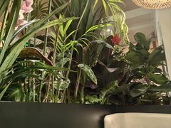 -金孔雀德宏傣味餐馆(魏公村店)