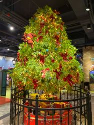 -幻贝家儿童乐园(苏州中心店)