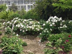 -江南大学(蠡湖校区)