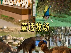 -盈香心动乐园