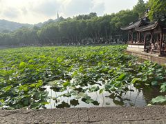 -浙江省博物馆(孤山馆区)