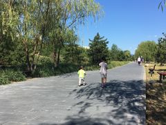 -永定河休闲森林公园