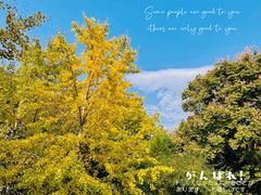 -长安大学(北校区)