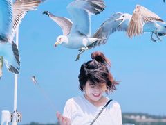 -海驴岛(荣成市)