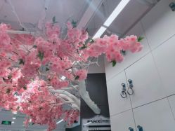 点击看大图 -梵茜儿·头道汤养生馆