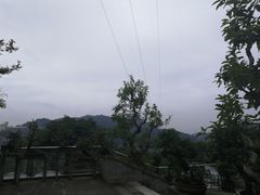 -老幺泉水鸡