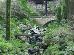 -林坑古村落