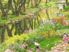 -上海共青森林公园