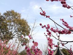 景点-太湖渔洋山