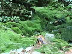 -鹿院坪生态旅游景区