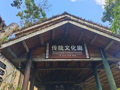 -海南槟榔谷黎苗文化旅游区