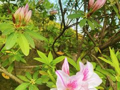 -杭州半山国家森林公园