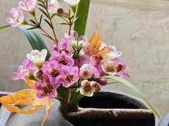 -广富林宰相府酒店·水云间