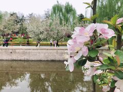 -海棠花溪(元大都城垣遗址公园)