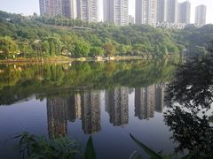 -重庆彩云湖湿地公园
