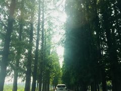 -高淳老街