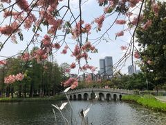 -四海公园(南山区)