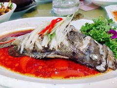 -小贝壳酒楼(经九路店)