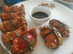 -军山湖云水间生态农业旅游景区