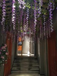 -Cocodemer 产后恢复中心(多伦路店)
