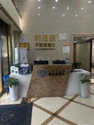 -碧莲盛·不剃发植发