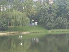 -美兰湖景区