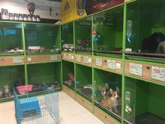 -米卢宠物公园(广华居店)