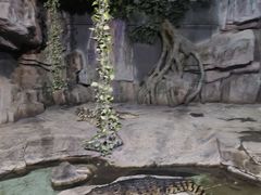 -泉城欧乐堡海洋极地世界