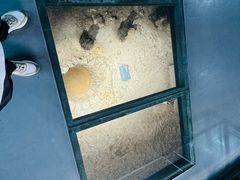 -南越王博物院(王宫展区)