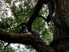 -苏堤停车场