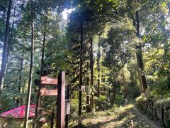 -莫干山风景区