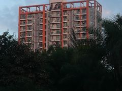 -晓港公园