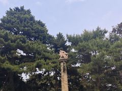 -北陵公园