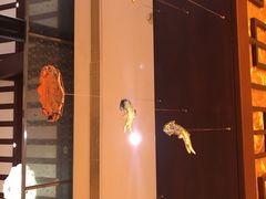 -启东恒大酒店·吕四渔号海鲜餐厅